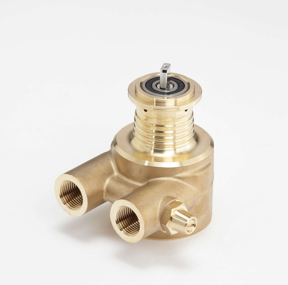 Rotary Vane Pump Brass FOT PA501E 500lt/h Rotoflow High Volume