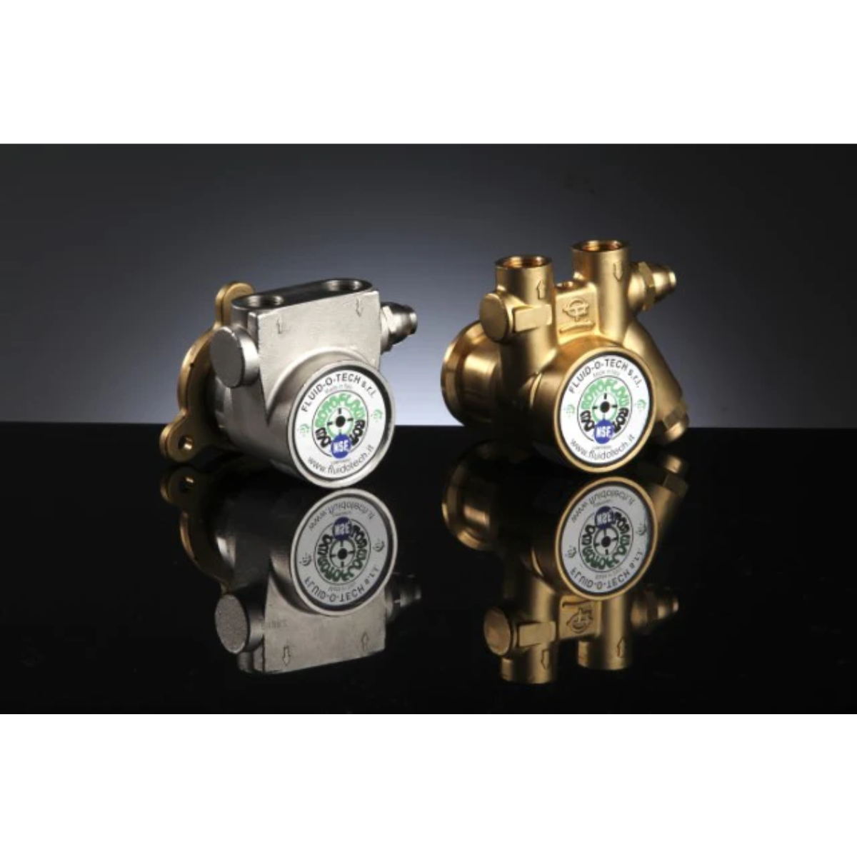 Rotary Vane Pump Brass FOT PA601E 600lt/h Rotoflow High Volume