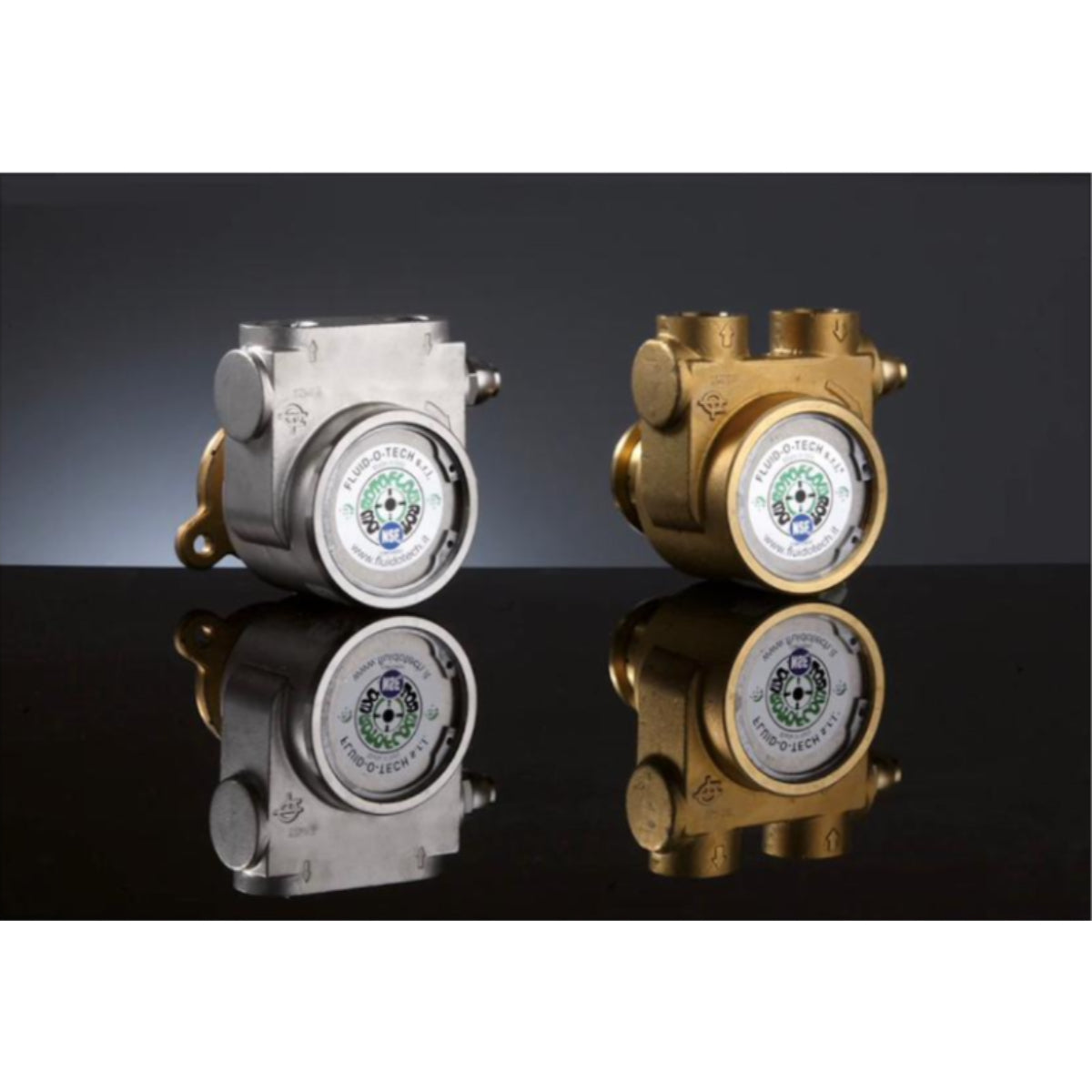 Rotary Vane Pump Brass FOT PA501E 500lt/h Rotoflow High Volume