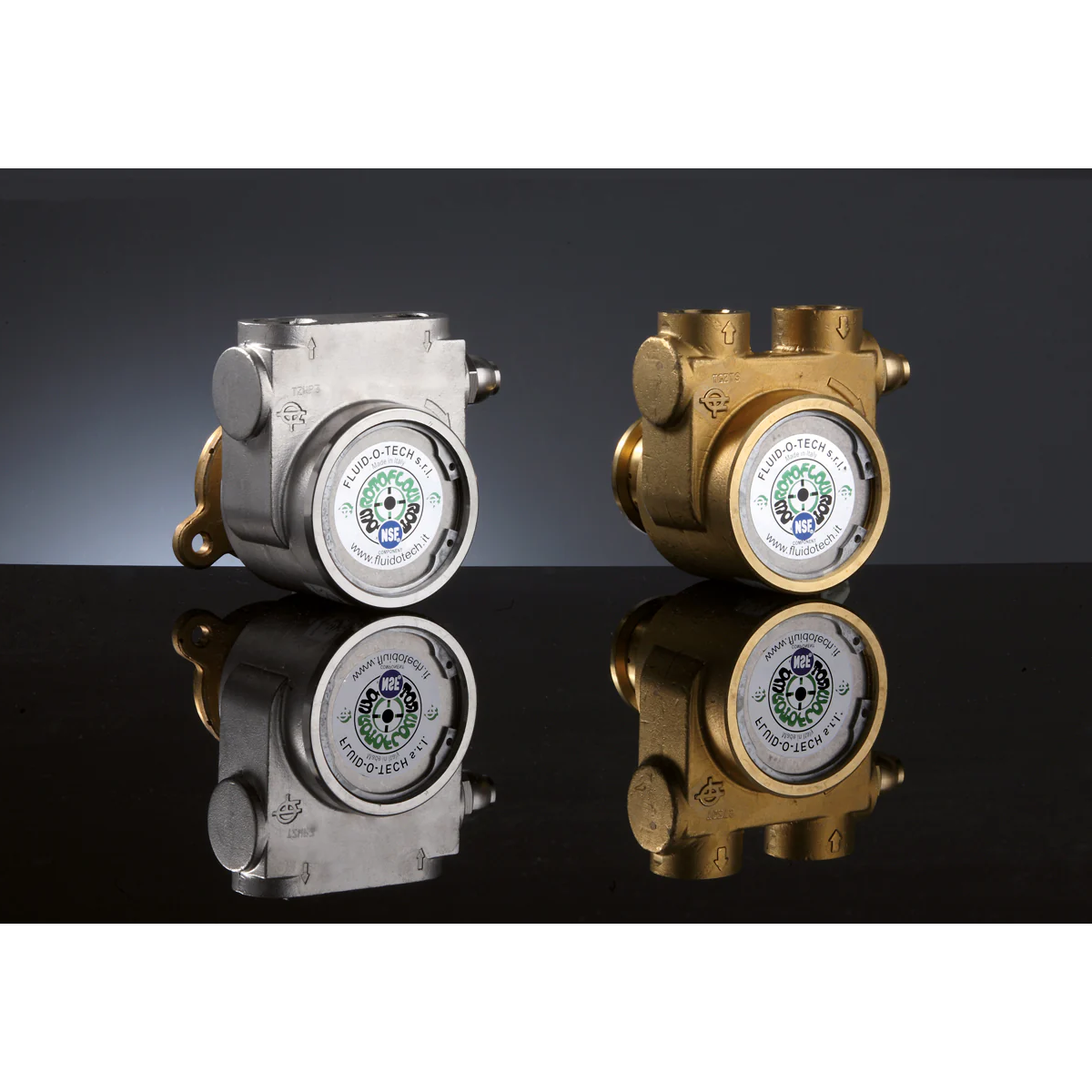 Rotary Vane Pump Stainless Steel 600lt/h Rotoflow High Volume